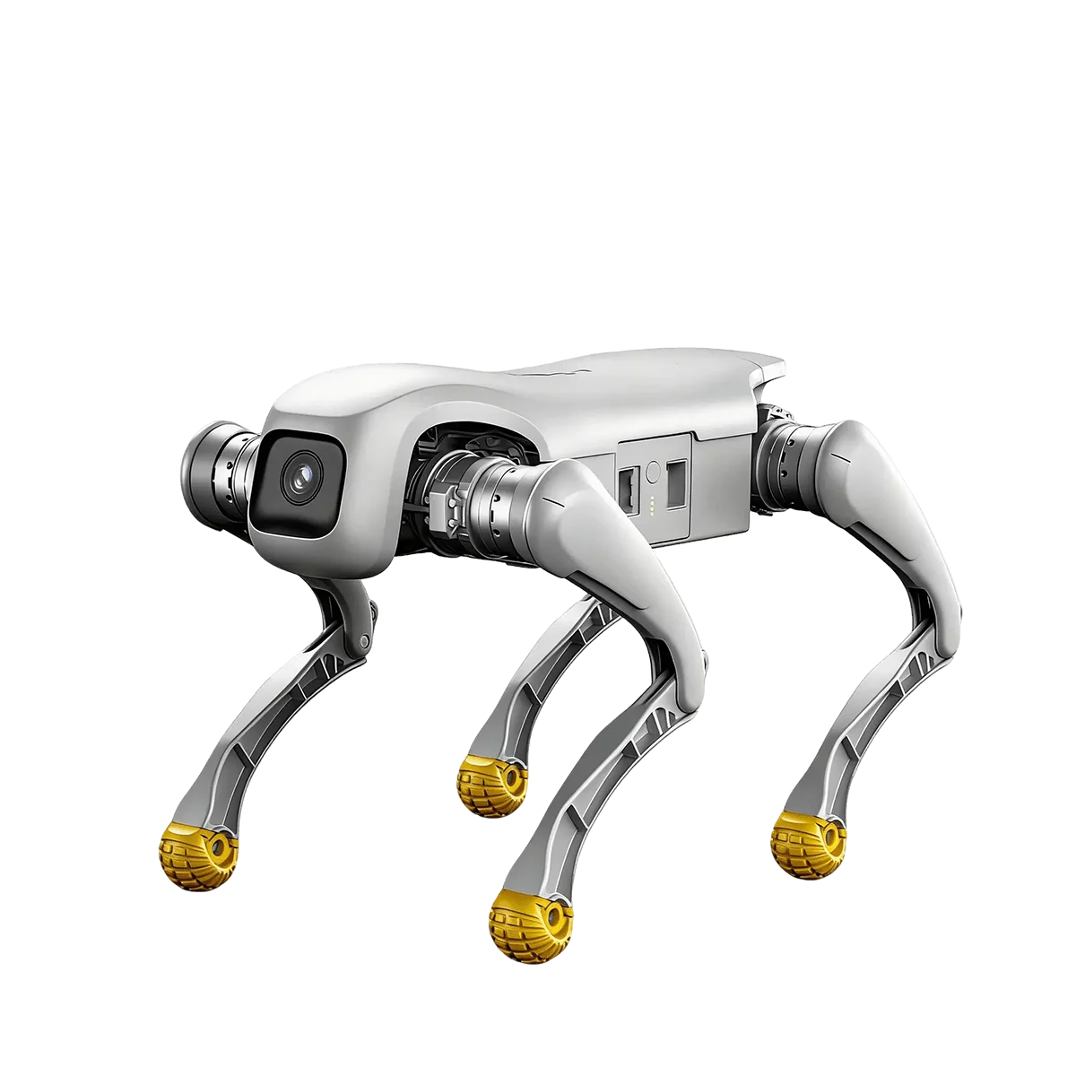 D1 Pro/Edu 机器人